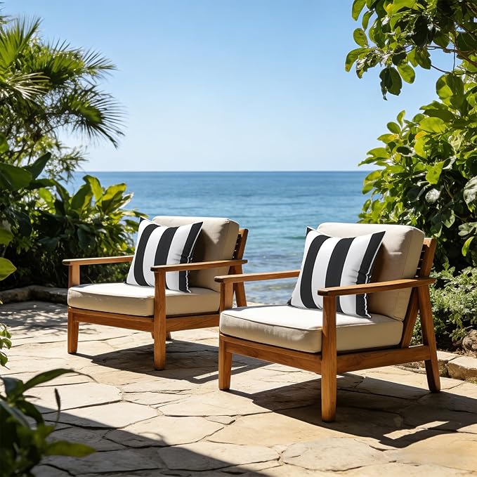 LVTXIII Outdoor Throw Pillows 20x20 Patio Waterproof Square Pillows with Piping Fade Resistant Accent Pillow for Spring Summer Garden Decoration, Set of 2, Cabana Black