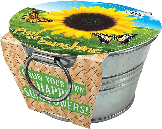 Unique Gardener Grow Your Own Mini Sunflowers Plant Seeds 3-Pack, DIY Indoor Succulents and Live Plants for Home or Garden Planting, Pail of Sunshine