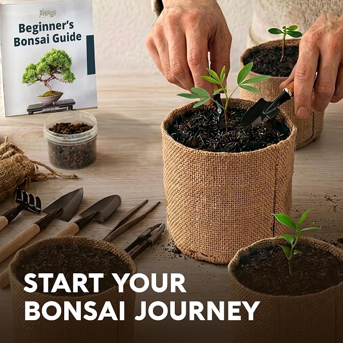 AVERGO Bonsai Tree Kit Deluxe + Growing Light - 5X Unique Japanese Bonzai Trees | Complete Indoor Bonsai Starter Kits for Growing Trees – DIY Gardening Gifts for Mother, Women & Men