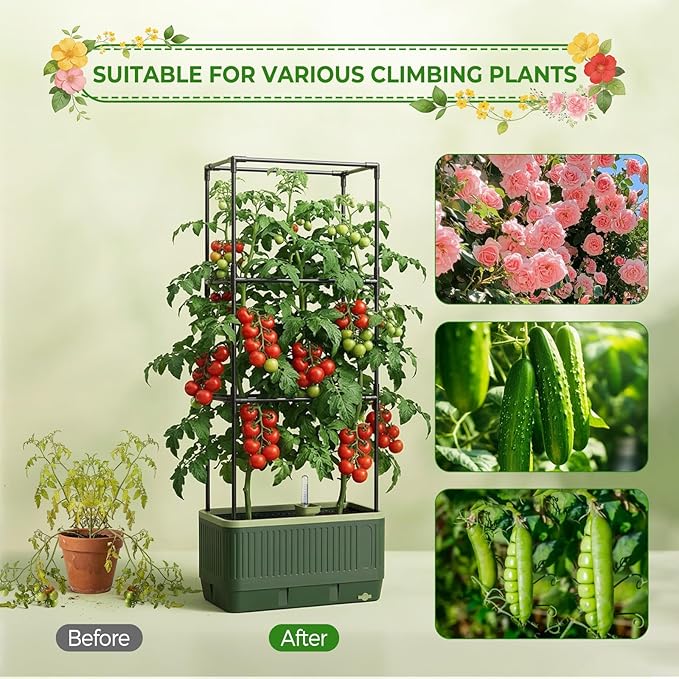 MQUPIN Raised Garden Bed Tomato Planter with Trellis, Self Watering Tomato Planter with Water Level Indicator, Larger Rectangular Tomato Cages for Indoor & Outdoor Climbing Vegetable and Plants (1)