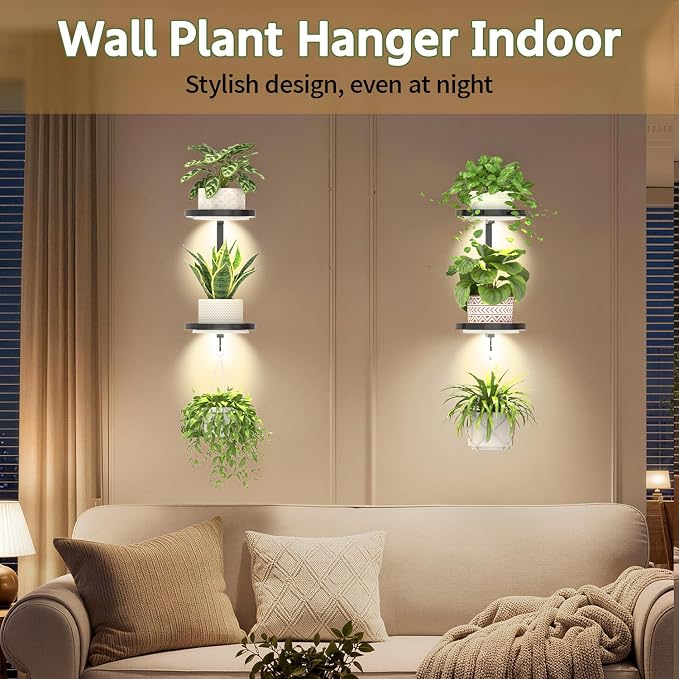 LASZOLA Plant Hangers Shelves Wall Mounted Indoor with Grow Lights, Metal Window Plant Holders, 2Pcs Modern Floating Flower Display Stand with 2 Hooks for Outdoor Kitchen Bathroom Decor, Dark Grey
