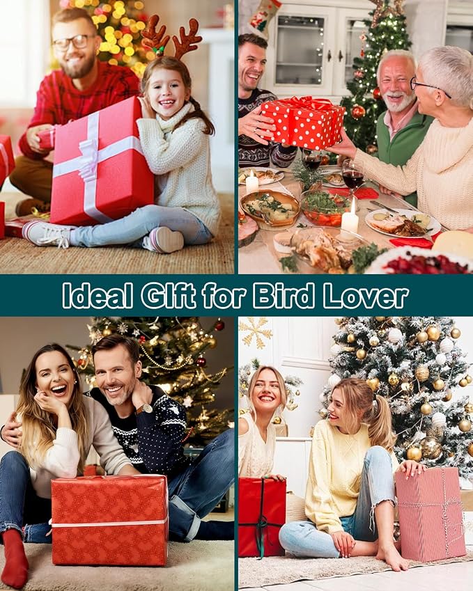 Bird House with Camera, Wireless Birdhouse for Outside with 2K HD Camera, 2.4G WiFi, App Notify, Solar Powered, Night Vision, AI Identify, Ideal Bird Nesting for Blue Bird and Cardinal