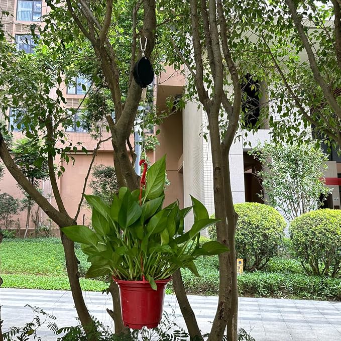 Update Retractable Plant Hanger with Pulley System - 2 Pack Adjustable 1.6M Stainless Steel Plant Hooks for Pots, Bird Feeders & Storage | 15kg/33lbs Max Load, Rustproof Indoor/Outdoor Use