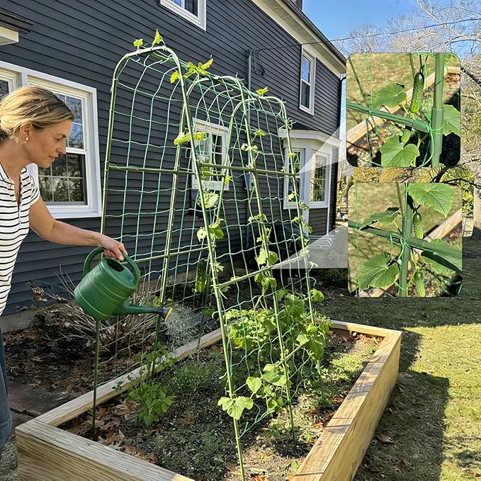 Miory Cucumber Trellis for Raised Bed, Garden Arch Trellis for Climbing Plants Outdoor, Steel with Plastic Coated Plant Support for Vines with Plastic Connector Nylon Netting (32" Lx32 Wx63 H)