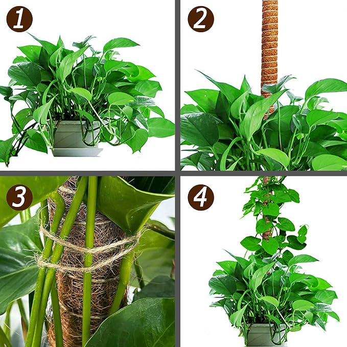 48 Inch Moss Pole, Bendable Moss Pole for Plants Monstera, Tall Moss Poles for Climbing Plants Indoor, Large Moss Pole Support, Garden Trellis Plant Stick Stakes for Potted Plants, Pothos