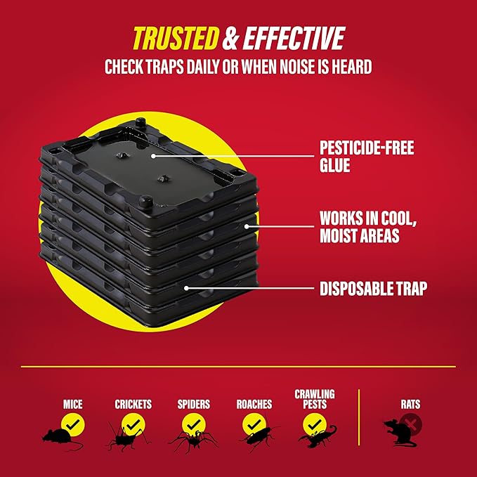 Catchmaster-6 Mouse & Insect Glue Traps, Heavy-Duty Pesticide-Free Sticky Mouse Traps Indoor for Home, Used by the PROs, Adhesive Rodent & Bug Catcher, Pest Control for House & Garage