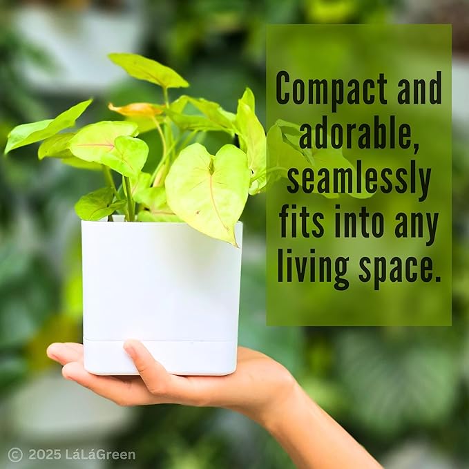 LaLaGreen Bundle- 2 Pack, 12 Inch White Geometric Self Watering Pot + 7 Pack, Small Medium Large Planter Rectangular Window Plastic Boxes Plant Herb Flower Holder Modern Stylish Hanging Indoor Decor