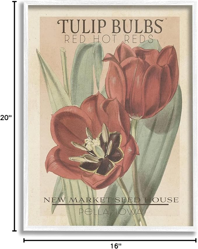 Stupell Industries Hot Red Tulip Bulbs Antique Floral Seed Packet