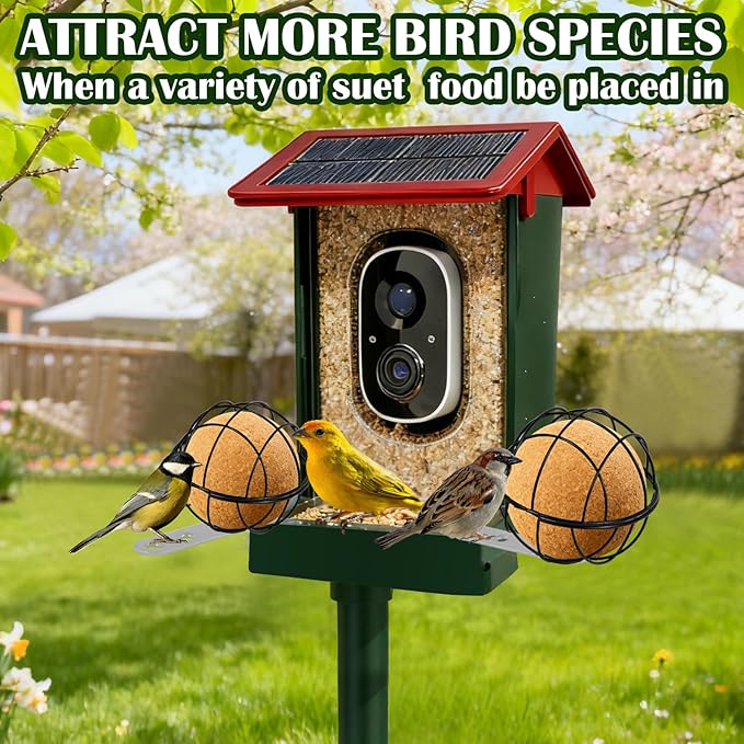 Metal Suet Ball Holder, Black Bird Suet Ball Cage Durable Bird Feeder Accessories with 5mm Screw Hole and 2PCS Perch Extender Compatible with Outdoor Smart Feeders (2 PCS-Dia 3.15", Dia 2.75")
