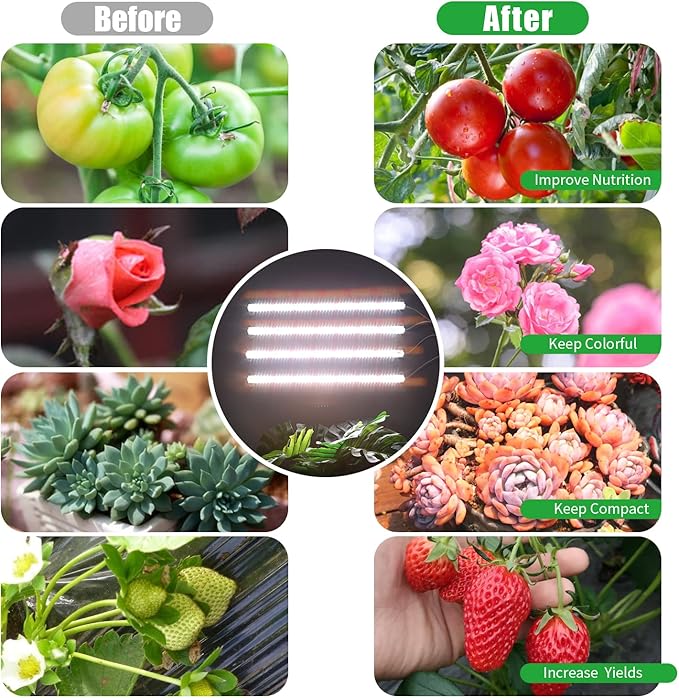 RWNTAO Grow Lights for Indoor Plants, 13" Grow Light Strips with Timer 3/9/12 H, 10 Dimmable Levels, 192 LEDs Full Spectrum Sunlight,Plant Growing Lamp for Indoor Greenhouse Seedlings, 4 Head