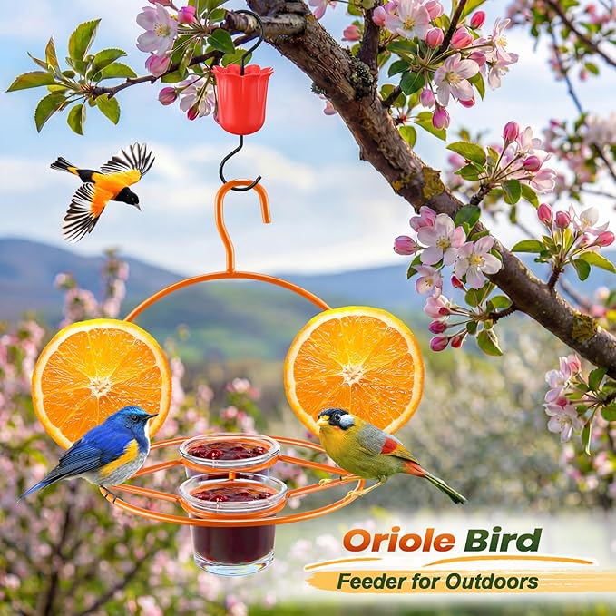 2 Pack Oriole Bird Feeder for Outdoors Jelly and Oranges, Hanging Oriole Feeder with Ant Moat & 2 Glass Cups & Cleaning Brush & Screwdriver, Metal Bird feeders for Outdoors for Jelly Nectar (2 Cups)