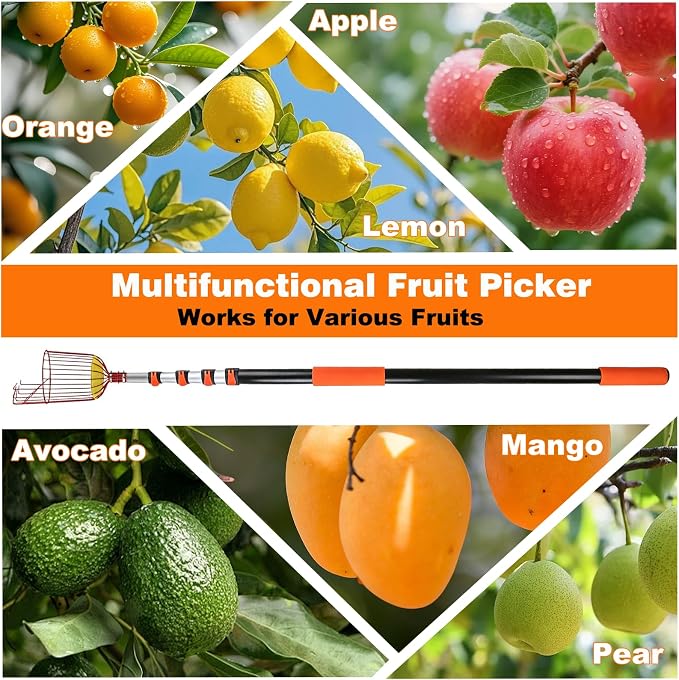 26FT Reach Fruit Picker Pole with Basket Telescoping,5-20FT Fruit Picker Pole with Basket, Apple Picker with Telescoping Long Handle, Fruit Grabber with Sturdy & Adjustable Aluminum Pole for Orange