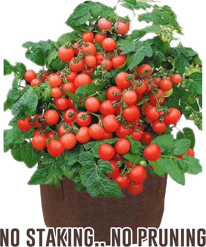 Best Root Pouch (5 Gallon)(10 Pack)(11"w x 10.25"H) Garden Grow Bag Container With Handles. Grow Bigger and Healthier Tomatoes, Veggies and Herbs In Soft Pots.
