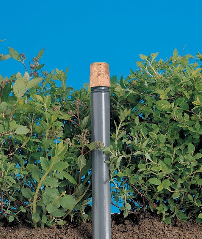 Orbit 54032 Brass Shrub Head Sprinkler with Brass Quarter Pattern Spray Nozzle