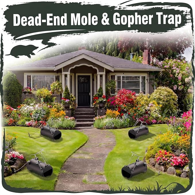 Qualirey 2 Pack Black Hole Gopher Trap with Leash, Tunnel Mole Trap Reusable Vole Traps Outdoor Rodent Control for Yard, Garden, Lawn and Farm, 6.3 x 3.5 Inch