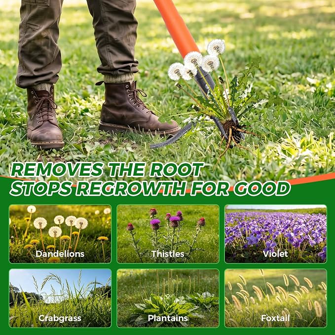 Stand Up Weed Puller Tool, 4-Claw Steel Head Deep Root Extractor with Dual-Eject Design, Real Bamboo Long Handle & Metal Anti-Slip Pedal, No Bending Dandelion Remover for Garden Lawn Yard