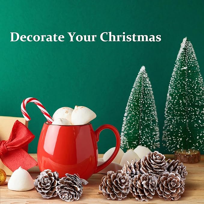 Deloky 700 Pcs Christmas Natural Mini Pine Cones- 1" Small Christmas Snow Pinecones Ornaments- Thanksgiving Mini Snow Pinecones for DIY Crafts Vase Fillers Fall Winter Home Christmas Tree Decor
