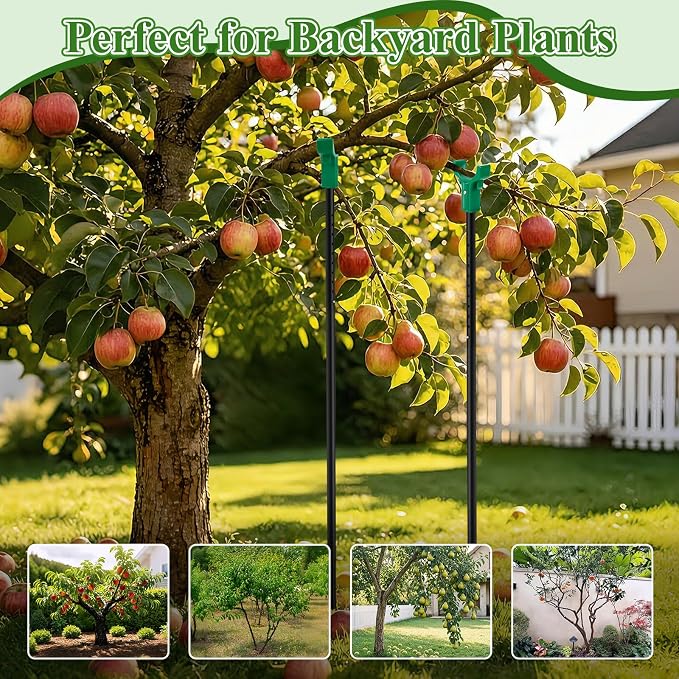 Adjustable Tree Support Pole with Crutch, Heavy Duty Fruit Tree Branch Support to Prevent Breakage, Adjustable 34–74” (2 Pack)