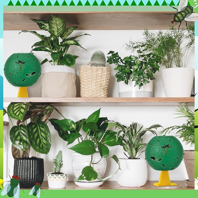 Qualirey 10 Set Fruit Fly Sticky Trap Balls Fungus Gnat Killer Bug Catcher Gnat Trap Insect Traps Indoor Outdoor Plant Fly Sticky Traps Ball for Fungus Plants(Green)