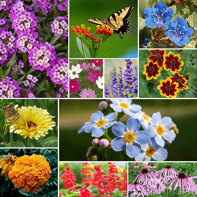 Groundio All Perennial Wildflower Seeds Bulk, 1/4 lb, 100,000+ Seeds, 26 Variety Mix with Milkweek, California Blue Bell, Attracts Pollinators, Plant in Spring or Fall, Zones 3, 4, 5, 6, 7, 8, 9, 10