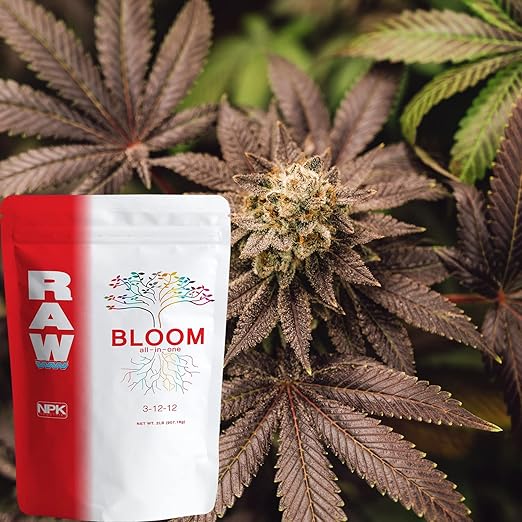 RAW All in One Bloom 2 lb