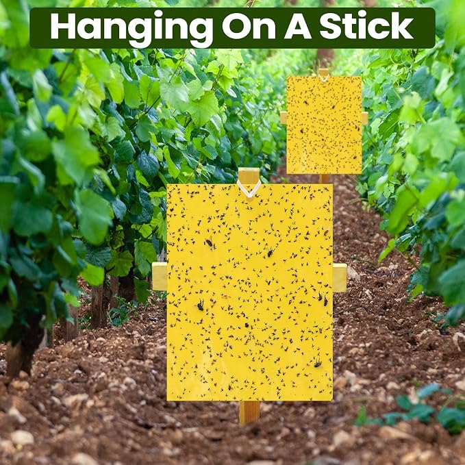 Qualirey 100 Pcs 6x8 Inch Yellow Sticky Traps for Gnats, Dual-Sided Sticky Gnat Traps for Indoor Outdoor Plants, Pest Control for Fungus Gnats, Fruit Flies, Whiteflies – Bulk Pack with Twist Ties