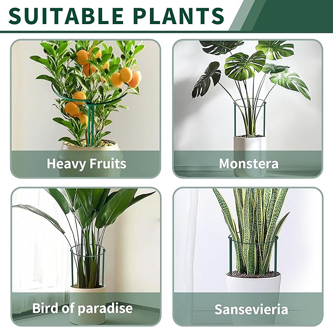 10 Pack Peony Cages and Supports, 14" (W) x 32"(H) Plant Support, Heavy-Duty Metal Plant Support Stakes, Plant Stakes for Outdoor & Indoor Plants, Perfect for Flowers and Vegetable