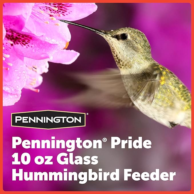 Pennington Pride Glass Hummingbird Feeder 10 Ounces