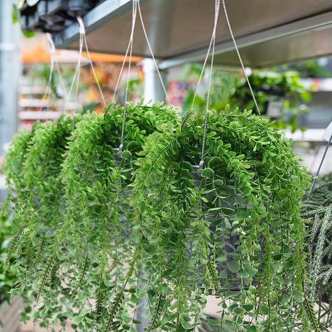 Tioncy 50 Pcs Plastic Hanging Planter Round Hanging Pot for Plants Containers with Hook Flower Plant Pots Holders for Outdoor Indoor Plant Balcony Garden Decor(Gray White,6.7inch)