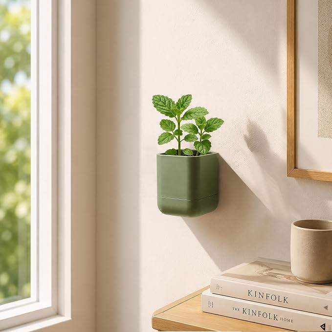 Phoenix Vine 3.5 Inch Wall Mounted Self-Watering Planter Pot for Indoor Houseplants and Herbs | Hanging Planter for Window Sills, Bathroom Walls, Home & Office Décor, Olive, Set of 6, 01-A-F-6