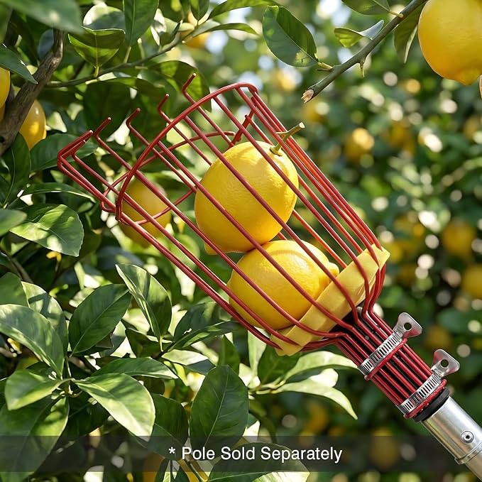 ARTIPOLY Twist-On Fruit Picker Basket Head, Fits Standard US 3/4-inch Acme Threaded Pole, Sturdy Fruit Harvesting Tool for Apple, Avocado, Mango, Orange, Lemon, Pear (Head Only, Pole Not Included)