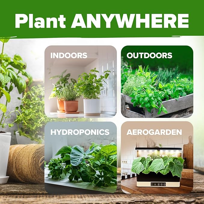 HOME GROWN 6 Herb Seeds for Planting 2,650+ Non-GMO Heirloom Seeds | Extra Large Variety Pack Herb Kit – Indoor Outdoor & Hydroponic | Culinary Seed Set | Grow Your Own Herbs | Gift for Beginners