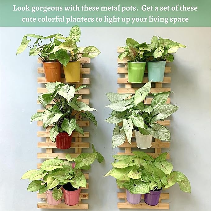 ShopLaLa Wall Planter (40cm, 2 Pack) Wooden Hanging Planters with Clear Paint Finish, Ladder-Style Wall Mount Plant Holders for Indoor Plants, Succulents, Orchids Vertical Garden Balcony Outdoor Decor