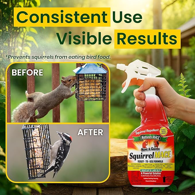 Nature's Mace Squirrel Mace, Squirrel Repellent Outdoor, 40 Ounce Spray, Squirrel and Chipmunk Repellent, Keep Squirrels Out of Your Garden, Attic, Bird Feeders, Fruit Trees, Plants, Potted Plants