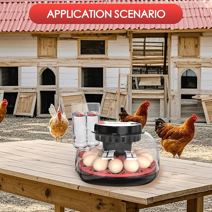 Incubators for Hatching Eggs Automatic Egg Incubator with Temperature Control Humidity Display 12 Egg Capacity for Chicken Duck Goose Eggs Digital Display Auto Turner 360° View
