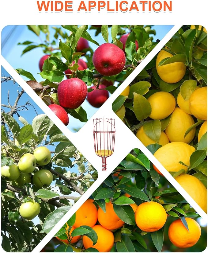 Buyplus 26ft High Reach Fruit Picker with Basket Telescoping, 5-20 Foot Heavy Duty Sturdy Aluminium Telescoping Extension Pole, Easy to Attach Twist-On Metal Basket for Picking Mango Avocado Lemon