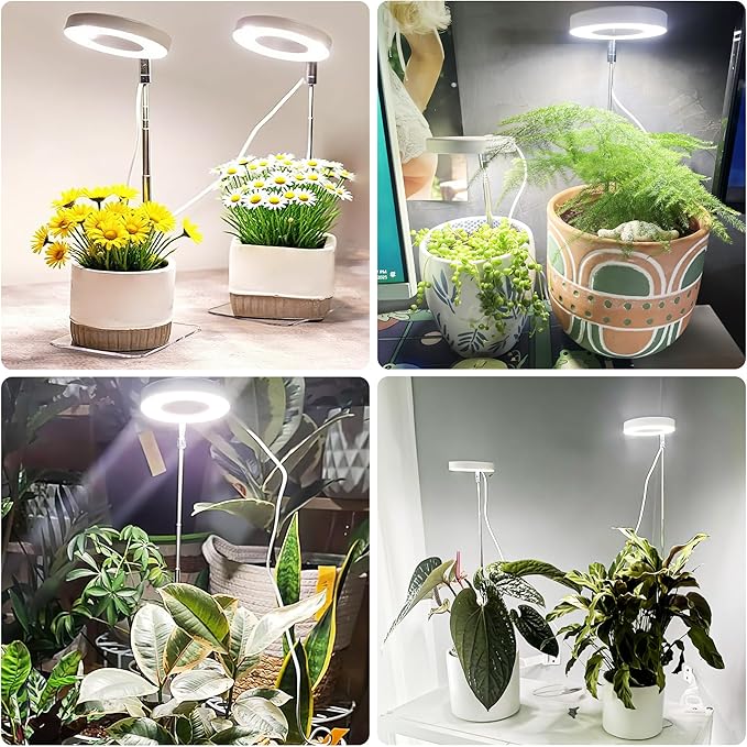 White Grow Lights for Indoor Plants Full Spectrum, 48 LEDs Plant Light for Indoor Plants, Height Adjustable, Small Halo Growing Lamp with Base, Auto Timer 3/9/12H, 3 Light Spectrums,10 Brightness