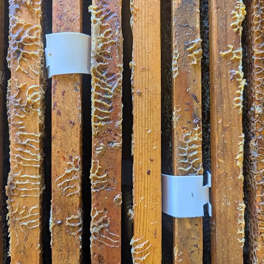 Apivar® 2.0 New Formula - Less Amitraz - Faster Varroa Mite Drop - Mite Treatment for Honey Bees, Strips Fit Langstroth, Dadant & More, No Withholding Period - (60 Strip Packs)