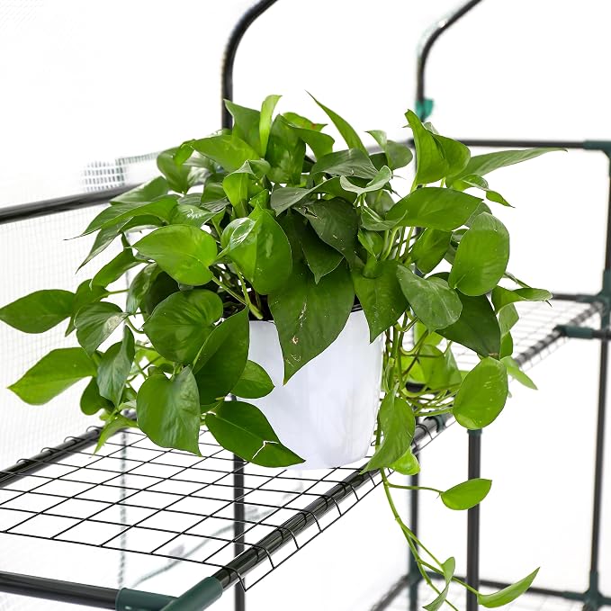 SUNGIFT Greenhouse for Outdoors, Walk-in Greenhouses 56 x 85 x 77 Inch, Portable Green House 3 Tiers 20 Shelves for Garden, Patio, Backyard, White