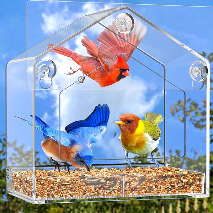 Window Bird Feeder, Suction Cup Window Birdfeeder for 6.8" Larger Viewing, Squirrel-Proof Strong Suction Cup Bird Feeder w/Self-Adhesive for Cats Outdoors