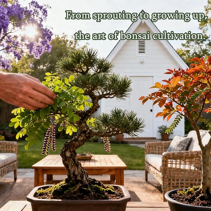 5X Bonsai Starter Kit, Bonzai Seed Kits, Durable Planting Bags, Complete Indoor Starter Kit for Growing Bonsai Plants, Gardening Gifts for Women & Men