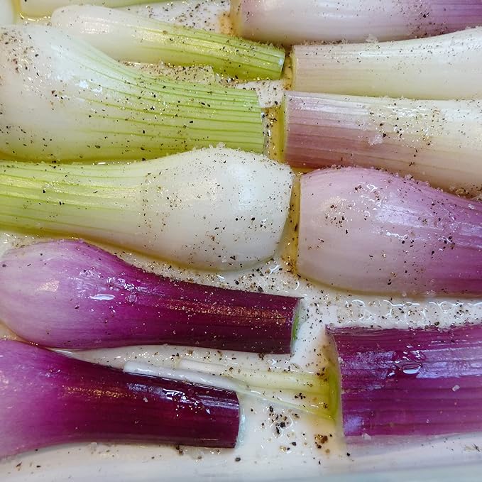 200 Gray French Shallot Seeds | Premium Non-GMO Heirloom Vegetable Seeds Tasty Sweet Fast-Growing French Red Shallot to Plant Home Garden