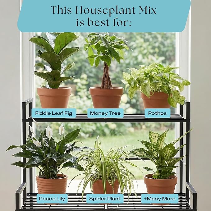 Rosy Soil Indoor Potting Soil for House Plants, 2 x 8 qrt - Organic Potting Soil Mix for Indoor Plants -Enriched w/Root-Boosting Biochar for Foliage Plants, Flowers, Herbs - Pack of 2