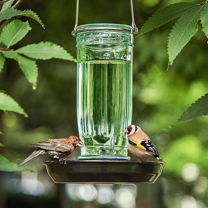 Kingsyard Glass Bird Water Dispenser for Outdoor, 16 Oz, Bird Water Feeder with Metal Hanging for Garden Yard Fence Decoration Hummingbird Cardinal Bluebird Finch, Green