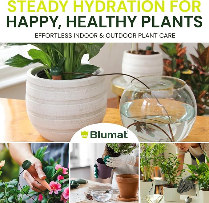 Blumat Classic Self-Watering Stakes - Prevents Overwatering and Underwatering for Healthy Growth While You are Away - Ideal for Indoor Plant Watering, 3 Pack, w Adapter