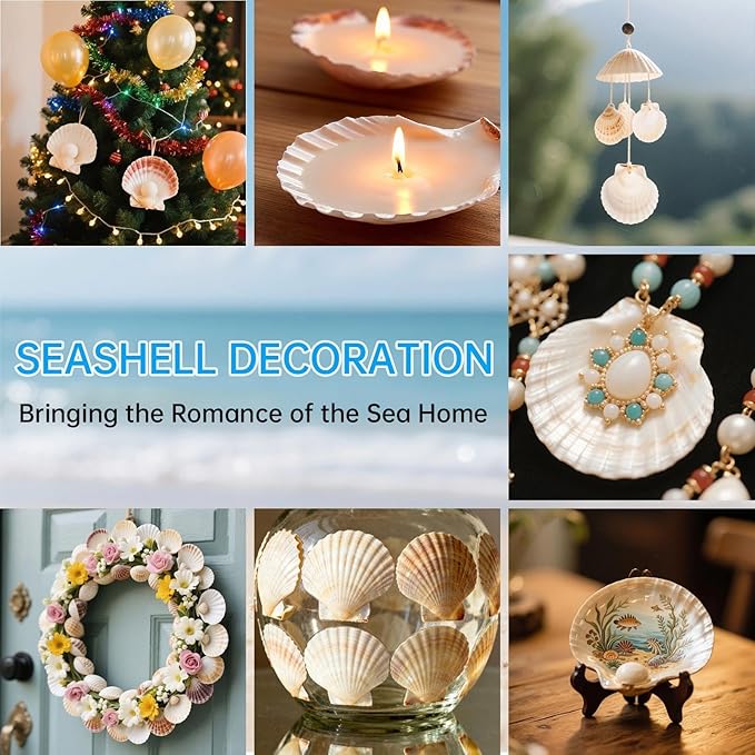 20PCS Large Scallop Shells for Crafts, 4-5 Inch Natural Sea Shells for Decorating, White Seashells Bulk for DIY Crafting, Painting, Baking, Ocean Themed Party Supplies & Decorations