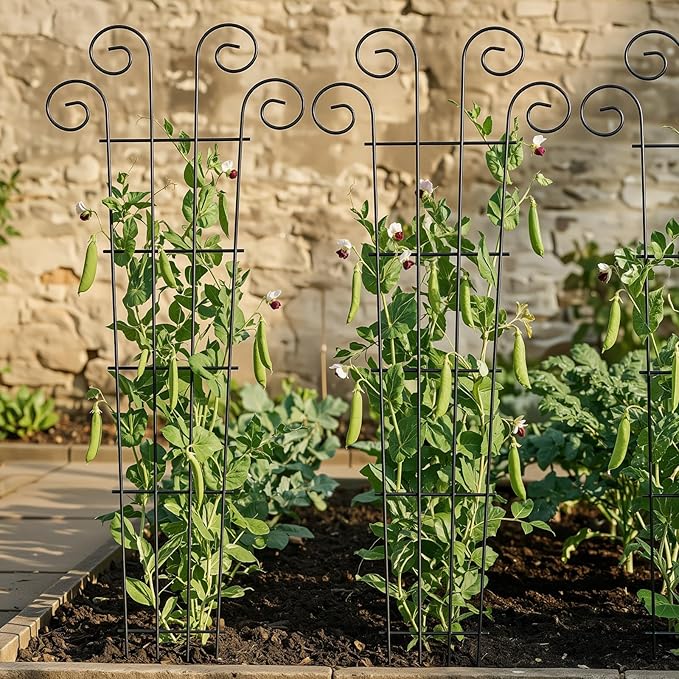 Thealyn 4 Pack 56 Inch Plant Trellis for Potted Plants, Metal Garden Trellis for Climbing Plants, Indoor Outdoor Decorative Vine Support for Pots, Wave Shape, Black