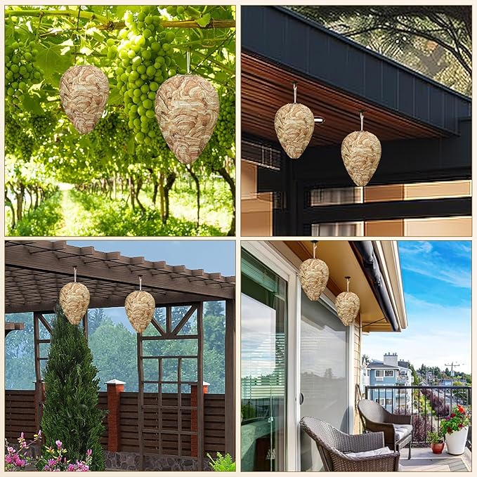 DECYOOL 6 Pack Wasp Nest Decoy Hanging Wasp for Wasps Hornets Yellow Jackets Outdoor Water-Repellent Material (Brown)