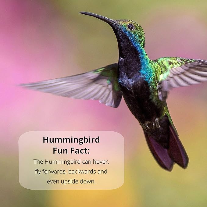 Sapphire Labs Nectar Defender - Hummingbird Nectar Extender That Prolongs The Life of Nectar for Hummingbird Feeders - It Works Exceptionally Well During Warm Weather Months - 2 Pack