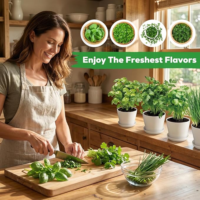 Indoor Herb Garden Starter Kit - Mothers Day Gifts - 4 Non GMO, Heirloom Culinary Herb Seeds, Unique Gardening Gift for Women, Mom, Her, Birthday, Housewarming, Plant Lovers